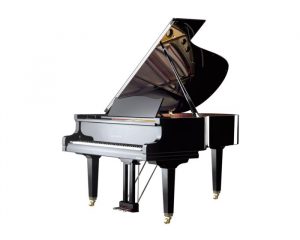 deutscher Flügel schwarz poliert